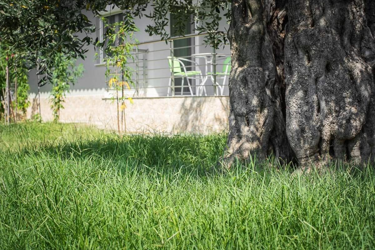 Apartamento Mougkrasstudio Skala Rachoni  Exterior foto